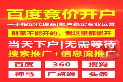 创新驱动：SEM竞价优化的多维度案例分析